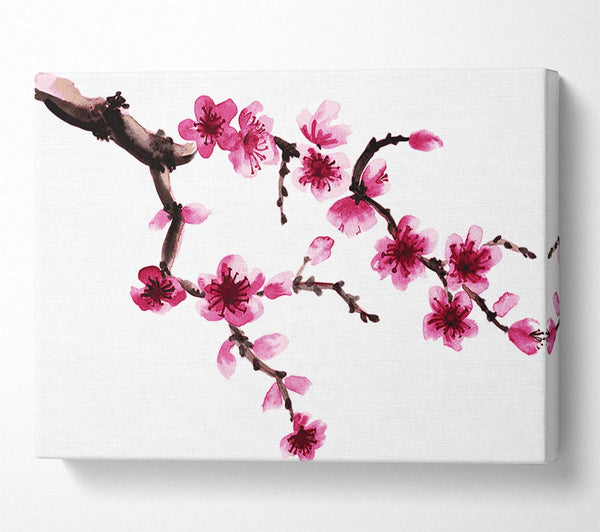 Branch Of A Cherry Blossom