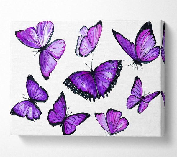 Purple Butterfly Frenzy