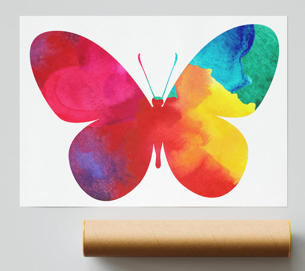 Rainbow Butterfly