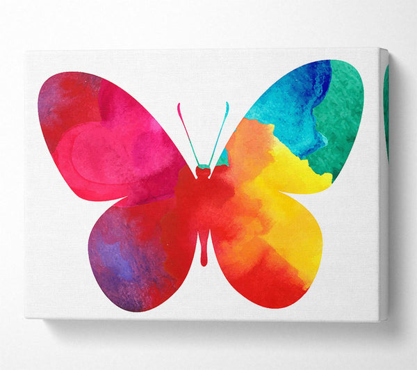 Rainbow Butterfly