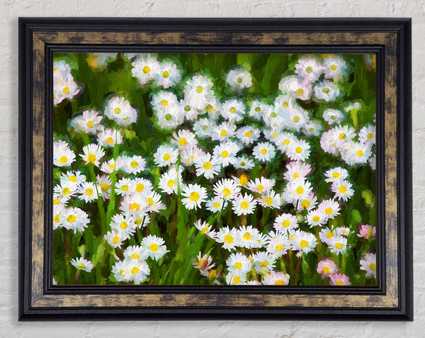 White Daisy Heaven