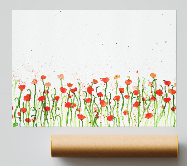 Red Poppy Garden Splash