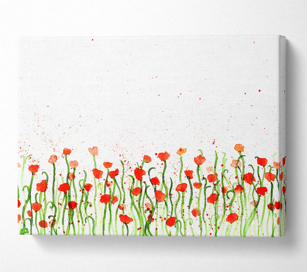 Red Poppy Garden Splash