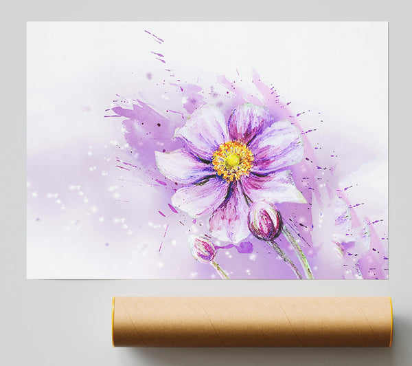 Purple Daisy Bloom