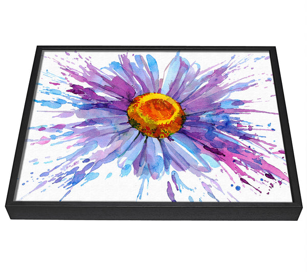 A picture of a Daisy Splash framed canvas print sold by Wallart-Direct.co.uk