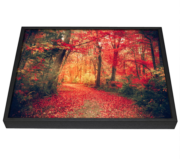 A picture of a Red Tree Walk framed canvas print sold by Wallart-Direct.co.uk