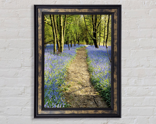 Bluebell Path