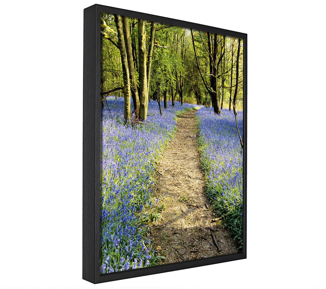 A picture of a Bluebell Path framed canvas print sold by Wallart-Direct.co.uk