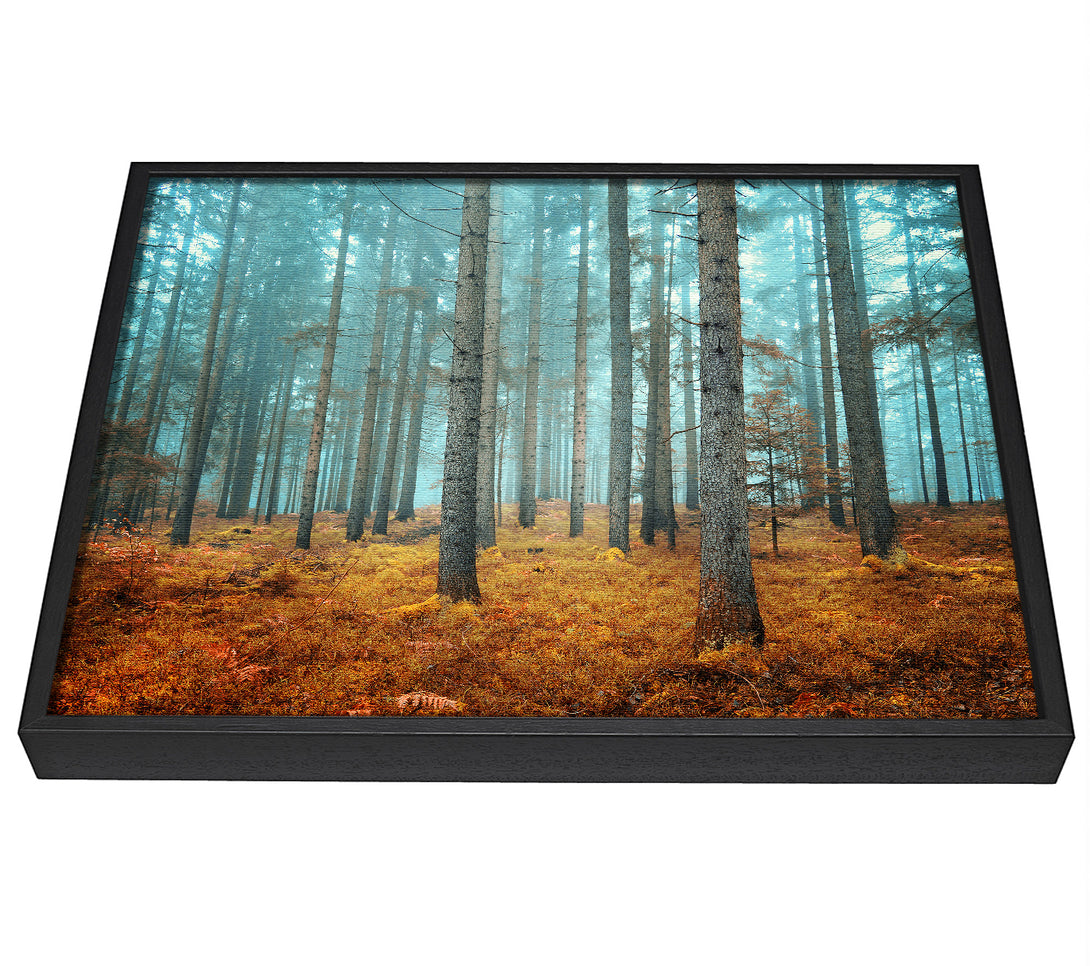 A picture of a Misty Forest Glow framed canvas print sold by Wallart-Direct.co.uk