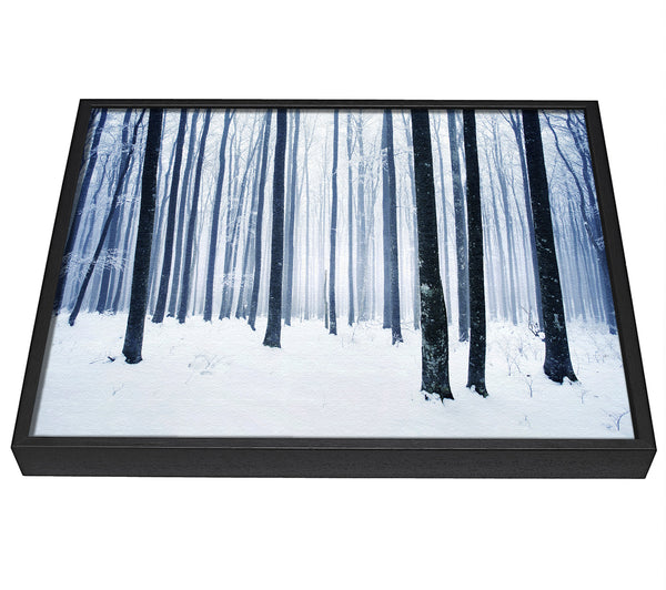 A picture of a Winter Magic framed canvas print sold by Wallart-Direct.co.uk