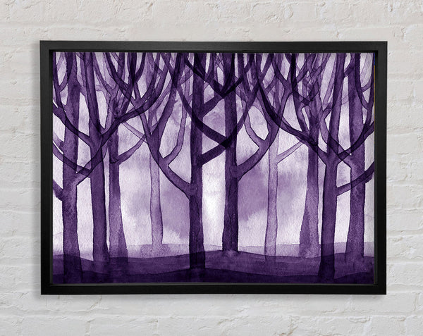 Purple Woodland