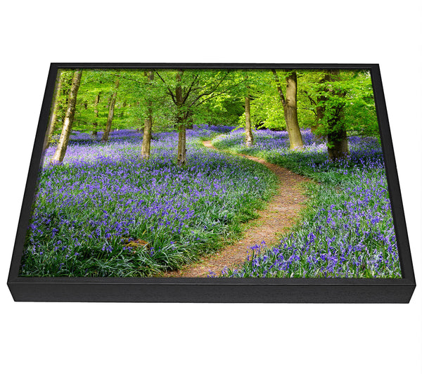 A picture of a Walk Through The Bluebell Path framed canvas print sold by Wallart-Direct.co.uk