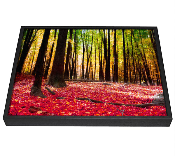 A picture of a Autumn Leaves framed canvas print sold by Wallart-Direct.co.uk