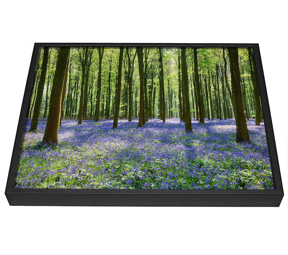 A picture of a Mystical Bluebell Woodland framed canvas print sold by Wallart-Direct.co.uk