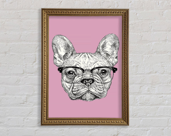 French Bulldog In Glasses