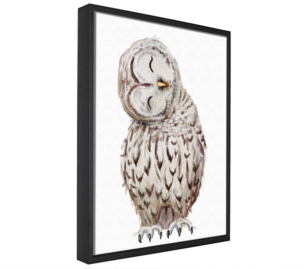 A picture of a Owl Feathers framed canvas print sold by Wallart-Direct.co.uk