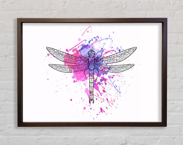 Dragonfly Splash