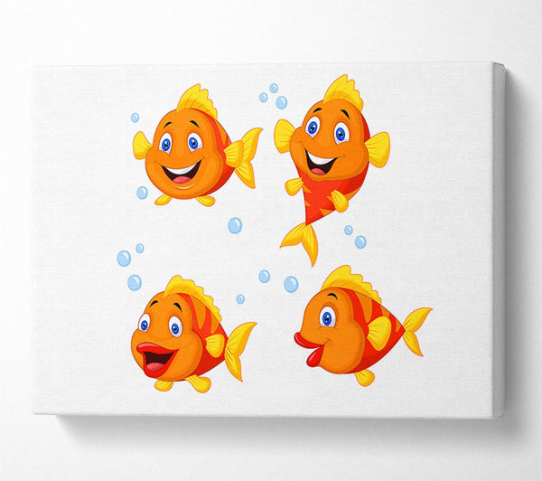 Goldfish Love 1