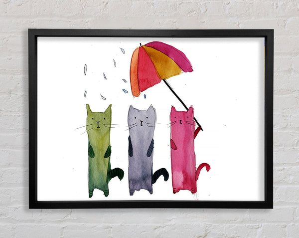 Umbrella Cats