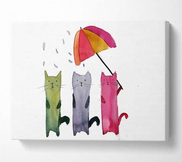 Umbrella Cats