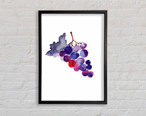 Wine Grapes