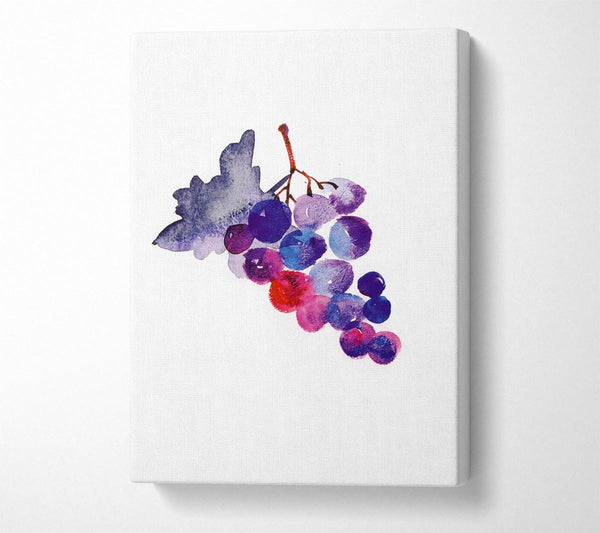 Wine Grapes