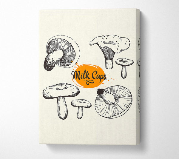 Milk Cap Mushrooms