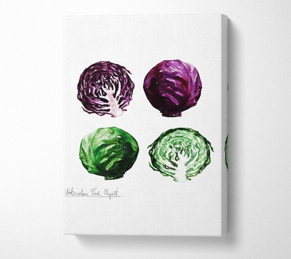 Red And Green Cabbage