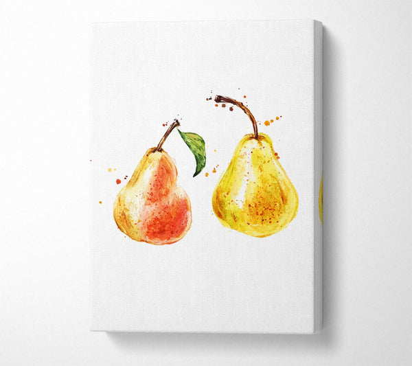 Pear Duo 1