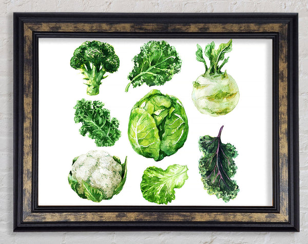 Vegetable Selection 3