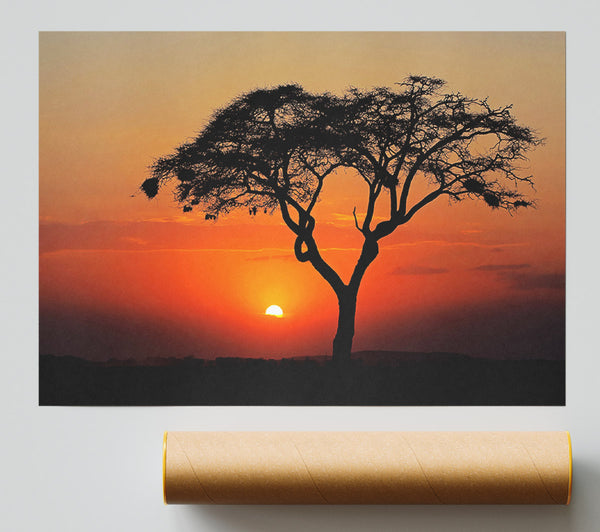 African Sunset