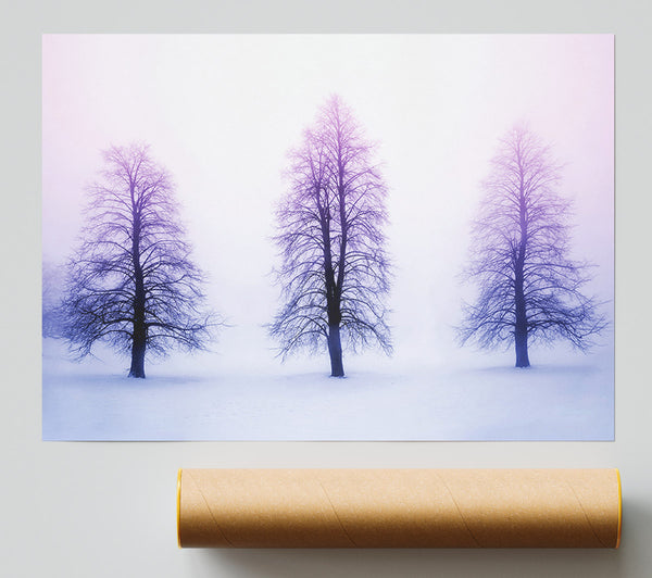 Purple Winter Trees