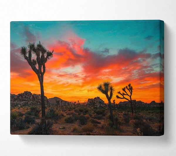 Sunset Desert Skies