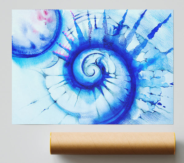 Blue Spiral Shell