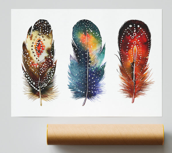 Indian Feathers