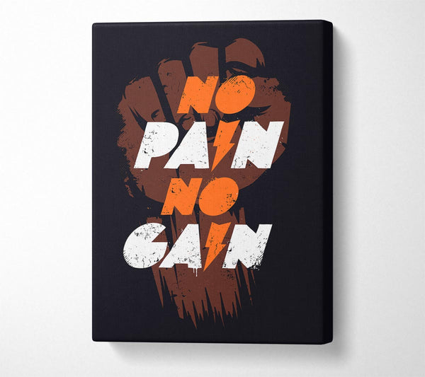 No Pain No Gain 1