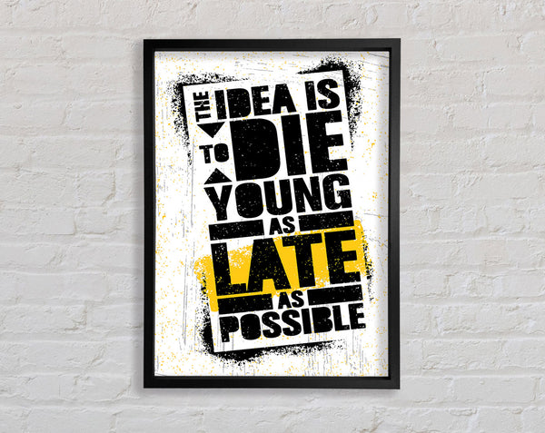 The Idea Is To Die Young