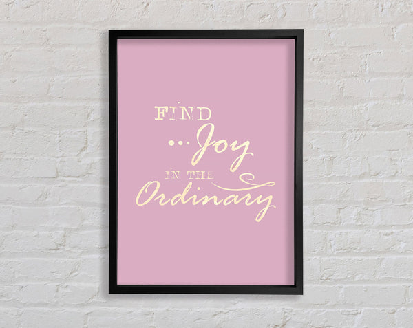 Find Joy In The Ordinary