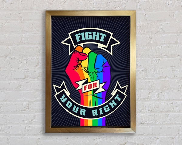 Fight For Your Right