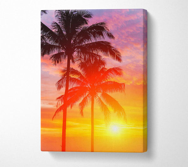 Sunset Palm Trees