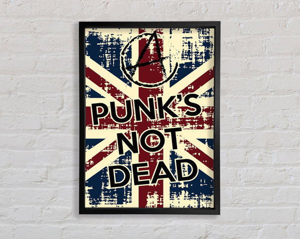 Punks Not Dead