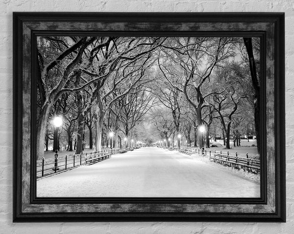 Winter Stroll Through Central Park