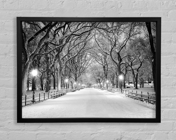 Winter Stroll Through Central Park