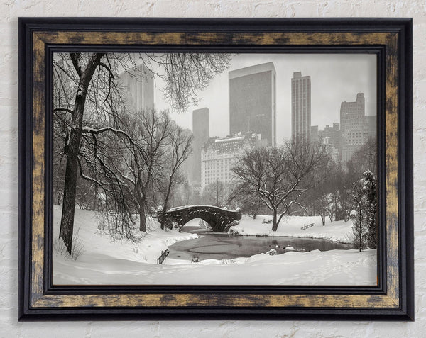 Winter Snow In Central Park