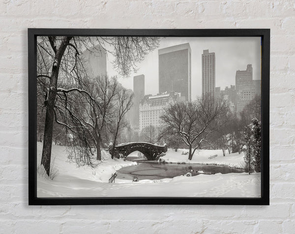 Winter Snow In Central Park