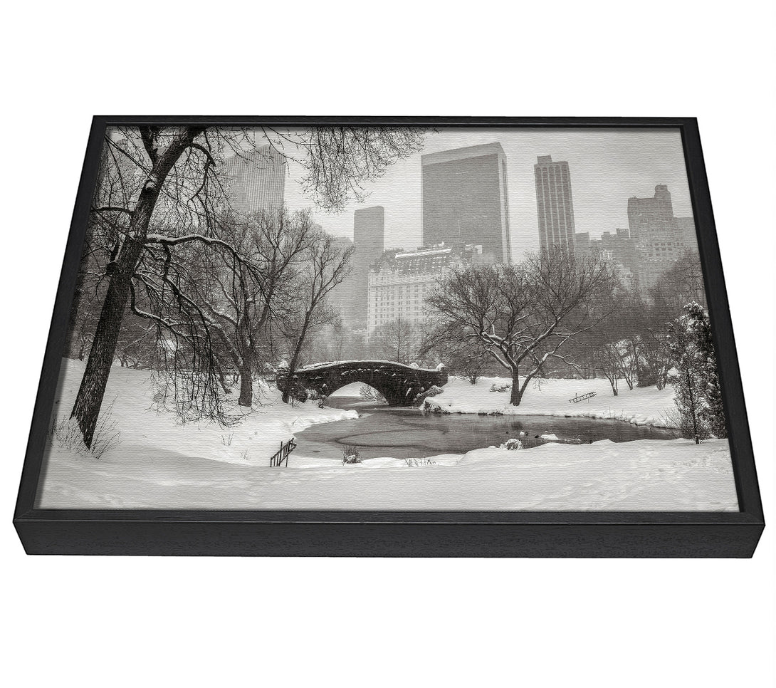 A picture of a Winter Snow In Central Park framed canvas print sold by Wallart-Direct.co.uk