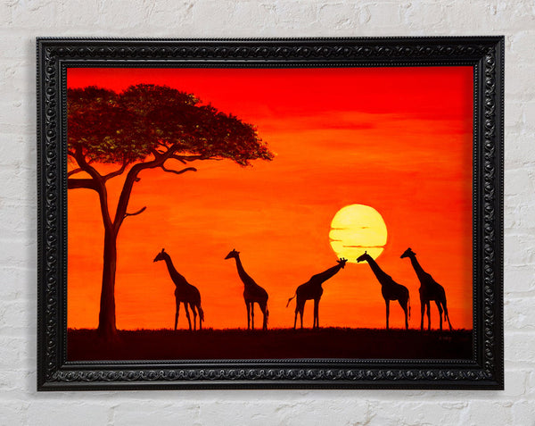 Giraffes At The Sunset