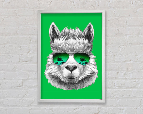 Llama Cool