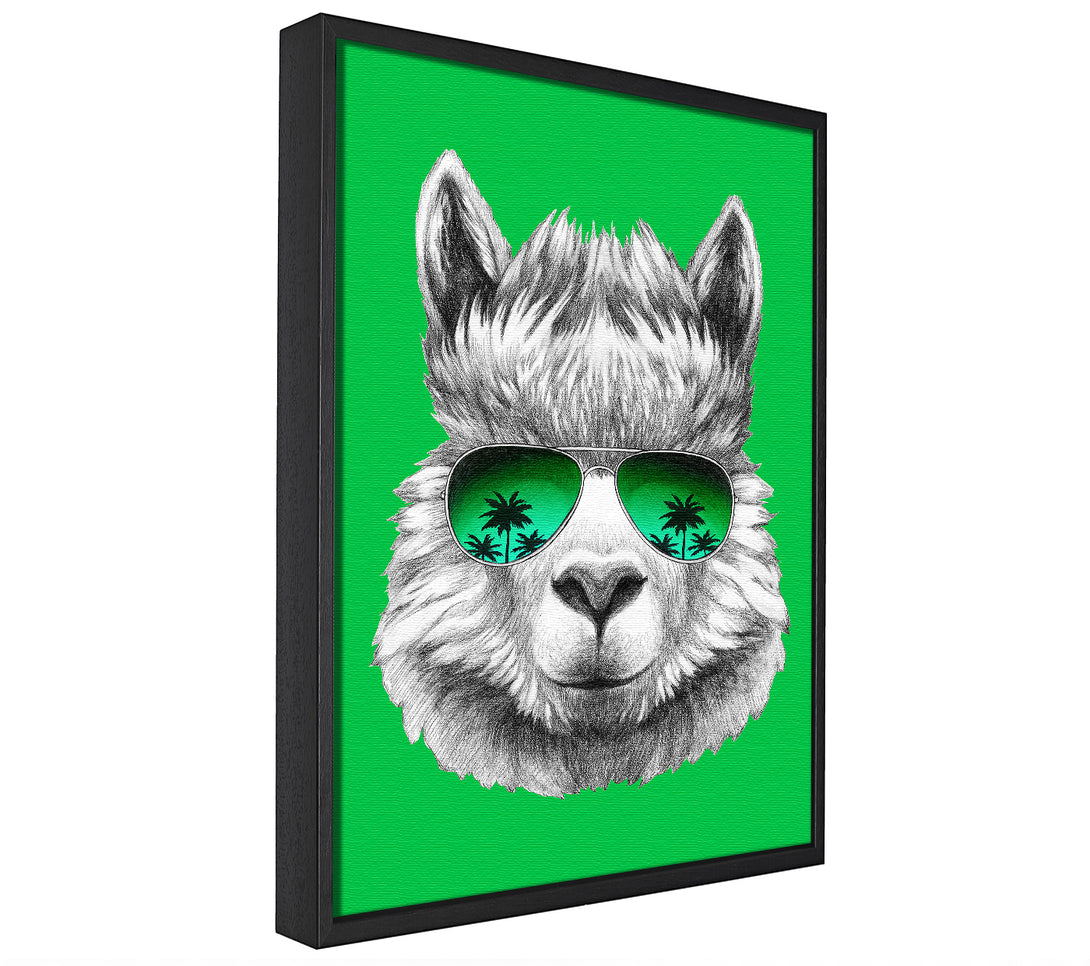 A picture of a Llama Cool framed canvas print sold by Wallart-Direct.co.uk