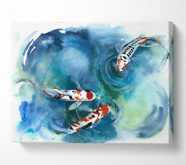 Koi Fish Teatime